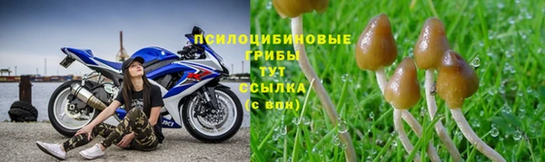 jwh Богданович